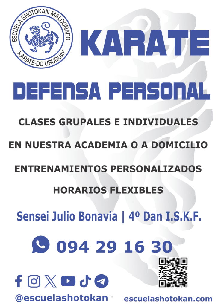 Folleto Clases de Artes Marciales en Punta del Este y Maldonado
